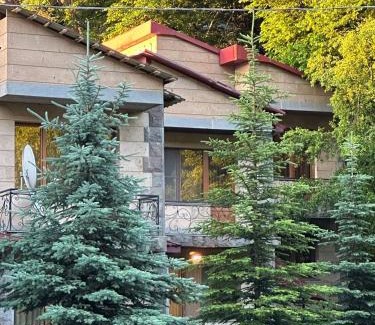 Tsaghkadzor House | Tsaghkadzor Family Villa