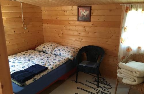 Fertoszentmiklos Apartment | Tulipános vendégház