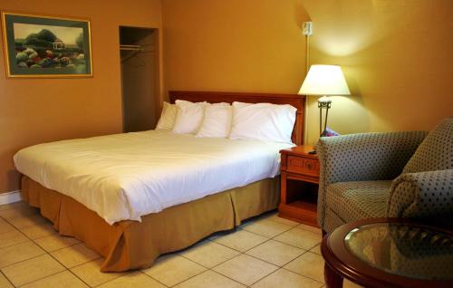 Woodstock Hotel | Tulip Motel