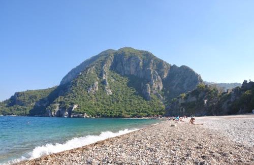 Olympos Resort | Turkmen Tree Houses