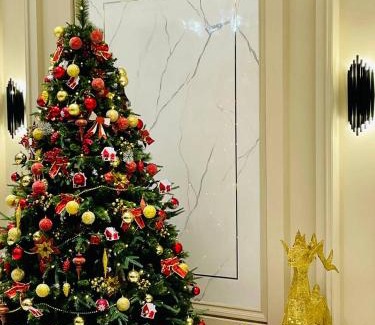 Samarkand Hotel | Turon Lux Hotel
