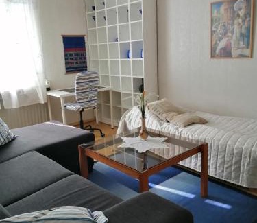 Maenttae-Vilppula Apartment | Turvapaikka