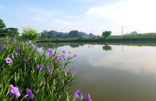 Hoa Lu House | Tuyet's Homestay