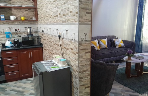Dodoma House | Two Bed Room Apartment At Villa Home Apartment, Best Accommodation In Dodoma