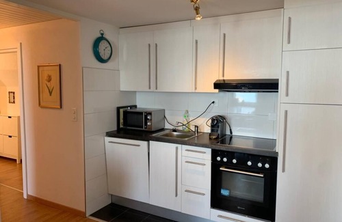 Rorschach Apartment | Two-Bedroom Lakeside Apartment