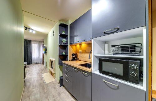 Pamporovo Apartment | Two Cozy Mint Studios in Grand Resort Pamporovo bt Flat Manager