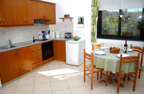 Kissonerga Apartment | Two very large, bright apartment with private garden, pool and grill