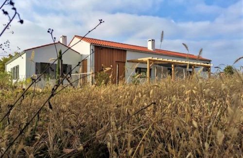 Brkac Villa | Two villas in lush countryside near Motovun