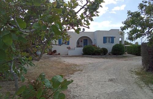 Aegina Town Villa | Tzitzi Pistachio Villa