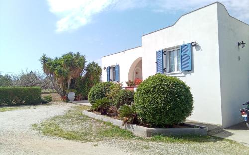 Aegina Town Villa | Tzitzi Pistachio Villa