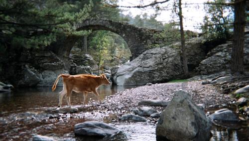 Pioggiola Bed & Breakfast | U PASTURELLU