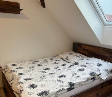 Zlonice Apartment | Ubytování 1kk ve Zlonicích