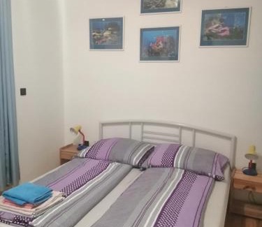 Luhacovice Apartment | Ubytování Eva