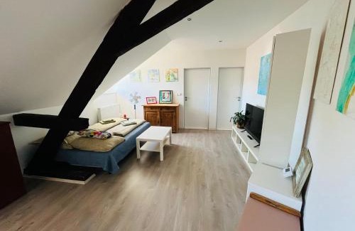 Hlinsko Apartment | Ubytování v podkroví - Hlinsko.