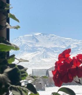 Osh Region House | UMAR guesthouse