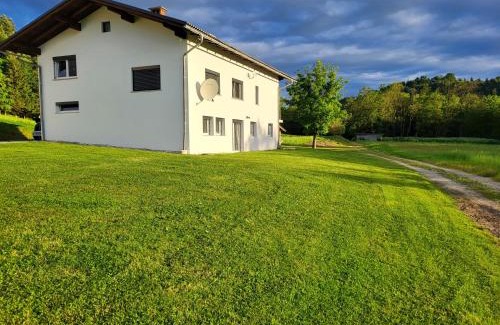 Domzale Apartment | Under The Castle