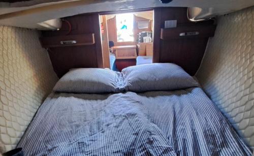 Hoganas Boat Rental | Unique boat 1