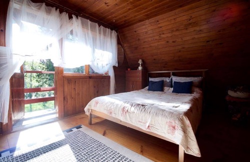 Karniewek House | Unique River Cabin!