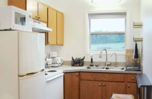 Caplinger Mills Cottage | Unique Riverfront Gem: Dogs Ok, King Bed (Cabin 1)