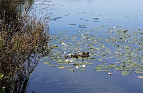 Skanes Fagerhult Apartment | Unterkunft am See