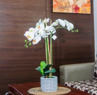 San Antonio Apartment | Urban Charm Cozy Meet 51 Air Swim Gym Park 300Mb