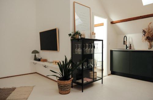 Landau in der Pfalz Apartment | Urban Loft - Appartment in ehemaliger Fabrik zentral in Landau