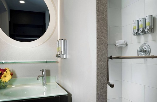 Belltown Hotel | Urban Two Queen at Staypineapple, Hotel FIVE, Downtown, Pets Allowed Here