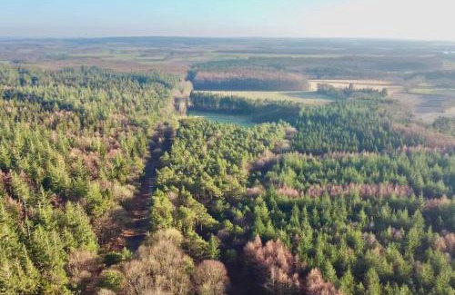 Wingst House | Urlaub mit Hund im Ferienhaus am Wingster Wald