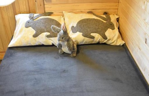 Usma Boat Rental | Usmas zaķīšu pirtiņa - Bunny house