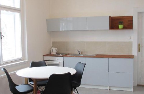 Mlada Boleslav Apartment | Václavkova Apartment