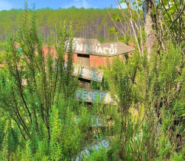 Da Lat House | Vườn Nhà Củi Homestay