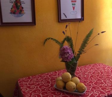 Chiusanico Apartment | vacanza tra gli ulivi