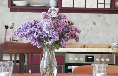 Orth Apartment | Vacation apartment Am Schloßberg