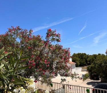 Rukavac House | Vacation Home Palma