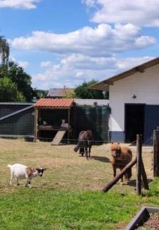 Lanaken House | Vacation on the farm