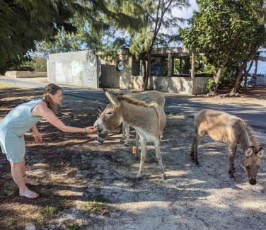 Cockburn Town Villa | Vacation with Heart Villa Donates to Rescue Dogs