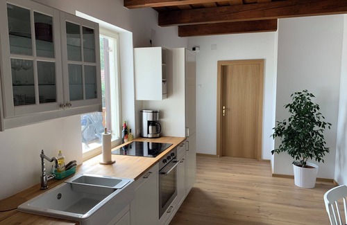 Eberau Apartment | Vacations in the vineyard - an idyllic retreat in the heart of the Uhudler region