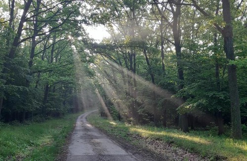 Karad Bed & Breakfast | Vadászház Karád