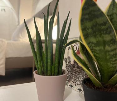 Catania City Centre House | VagaLuna Short Stay