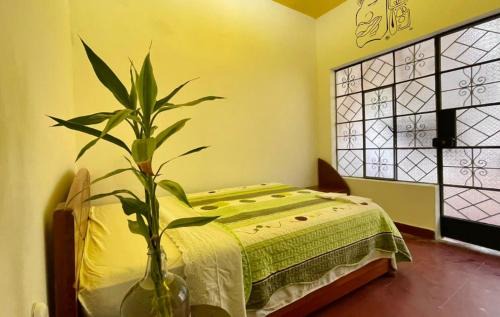 Tingo Maria House | VAGO HOSTEL