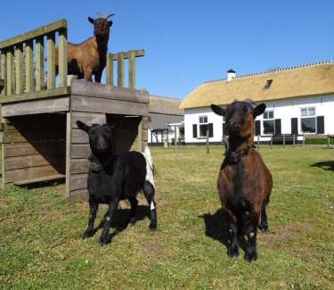 Bathmen House | Vakantiehuis 'De Bolle'