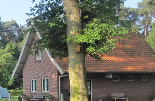 Bavinkel House | Vakantiehuis in een prachtige bosrijke omgeving in Twente!