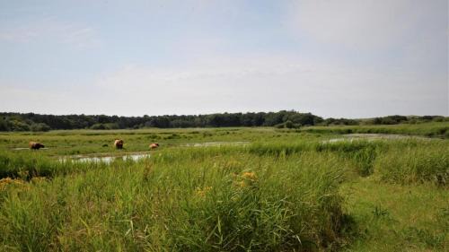 Den Helder House | Vakantiehuis Merel