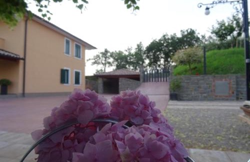 Secovlje Apartment | Val&Sol Apartments