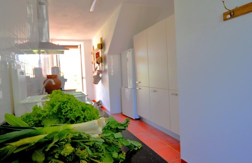 Vila Nogueira de Azeitao Villa | Vale do Pereiro - Arrábida Natural Park - Azeitao - 10 minutes from the beaches
