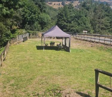 Villacibran Apartment | Valles del Narcea, Apartamentos Rurales