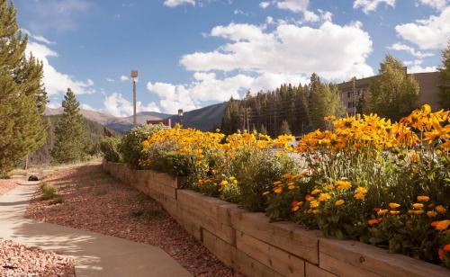 Winter Park Hotel | Valley Hi Hotel
