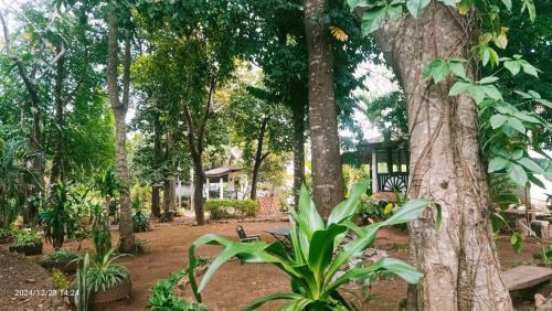 Ban Lung Bed & Breakfast | VANESSA'S GARDEN Restaurant & Bungalow