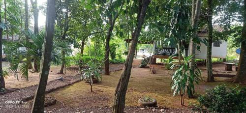 Ban Lung Bed & Breakfast | VANESSA'S GARDEN Restaurant & Bungalow