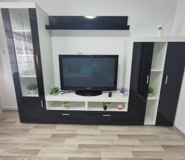 Vaslui Apartment | VASc2